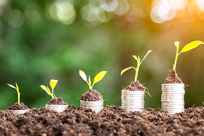 Financial planning for your retirement nest egg