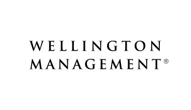 Wellington logo